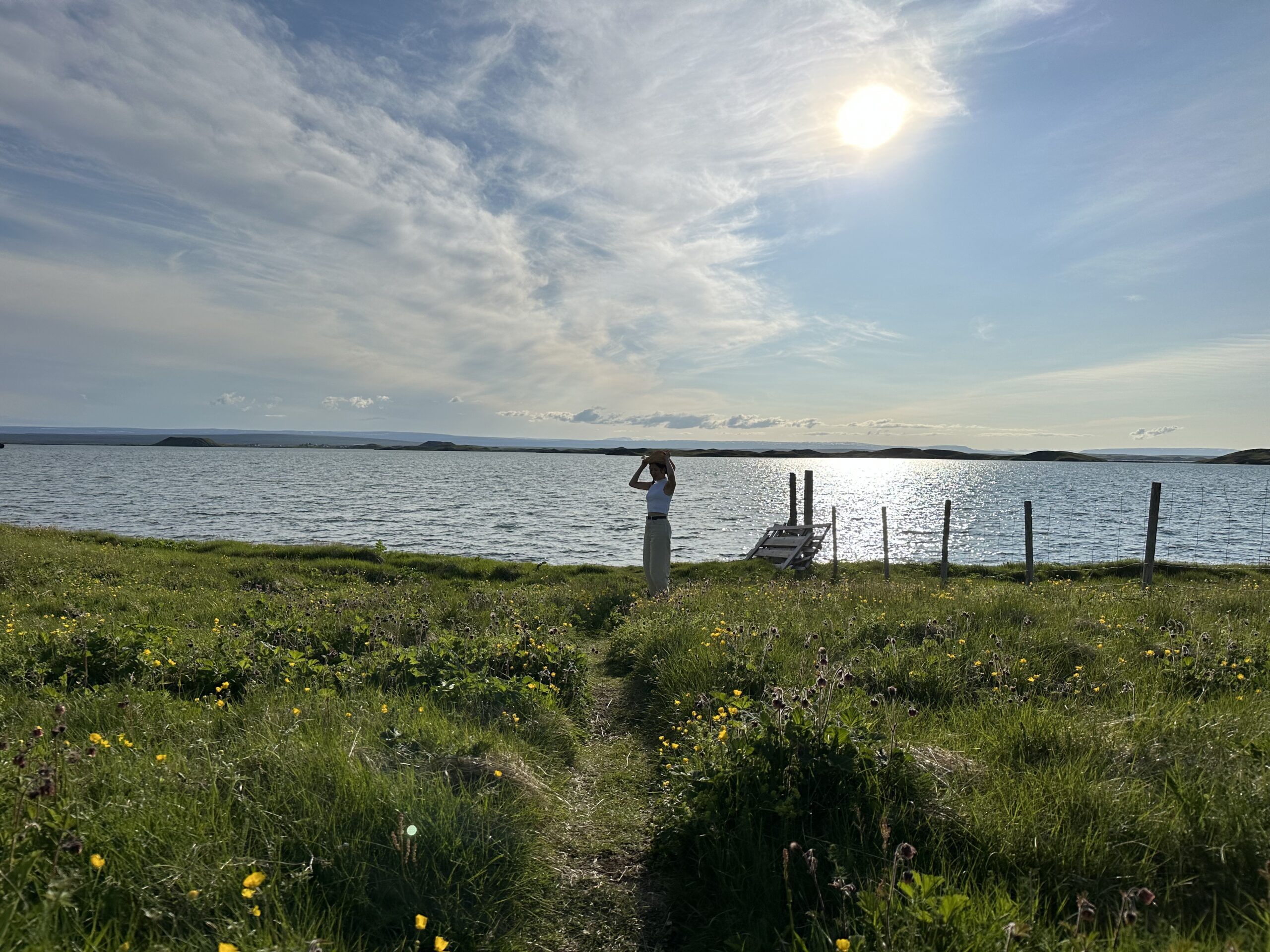 冰島米湖周邊景點hofdi自然保護區