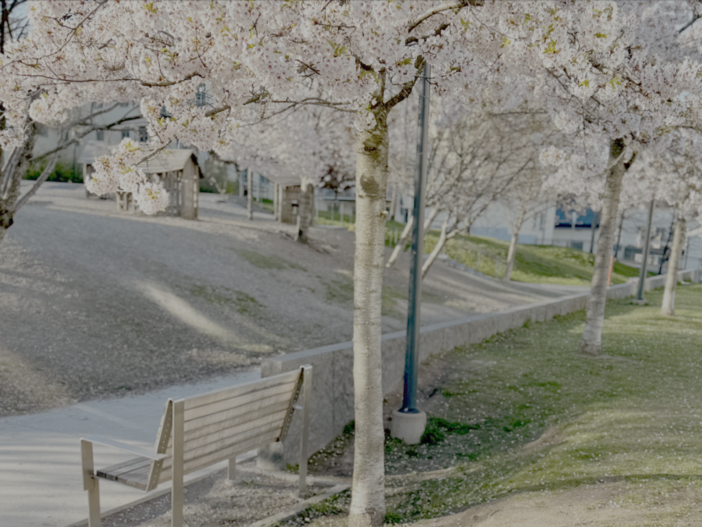 luma-1-bench-spring