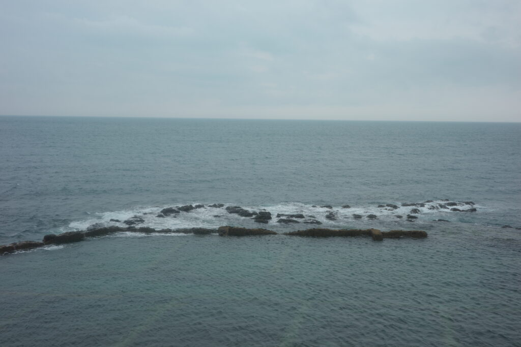 R0008758